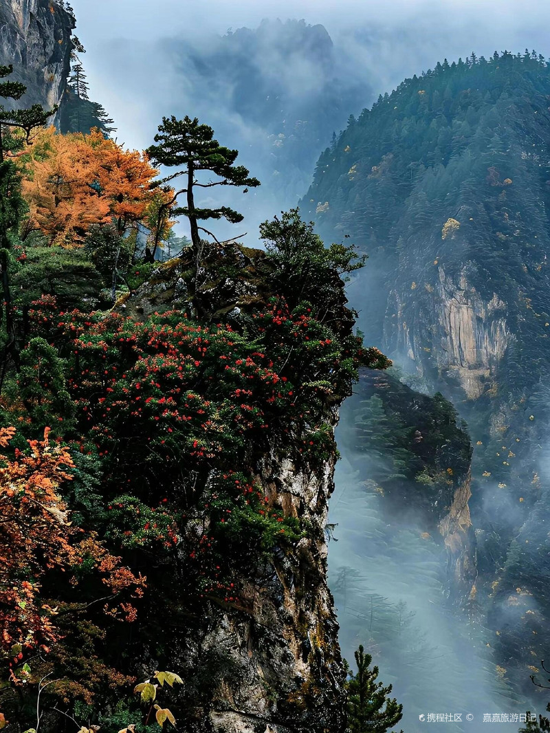 蓬莱仙山人体艺术探秘，千年仙境，唯美与自然交融