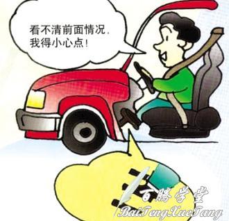 老司机午夜网惊险驾驶故事，揭秘城市夜生活，安全行车技巧分享