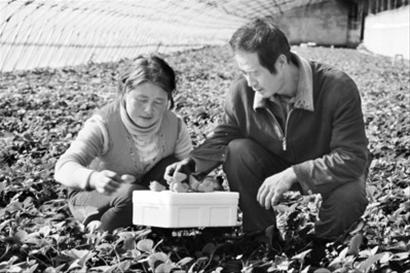 1.国产精品农村妇女的勤劳与智慧