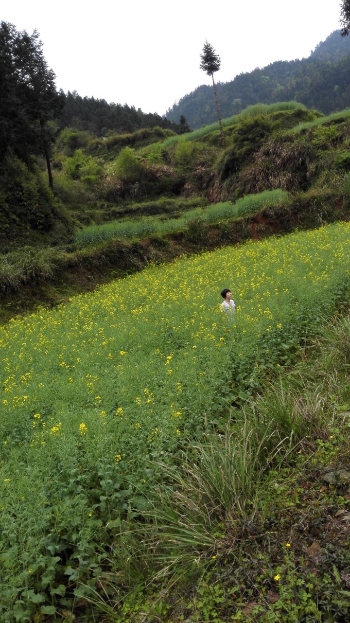 久久国产青青草绽放乡村美景，探寻自然野趣，感受田园诗意生活