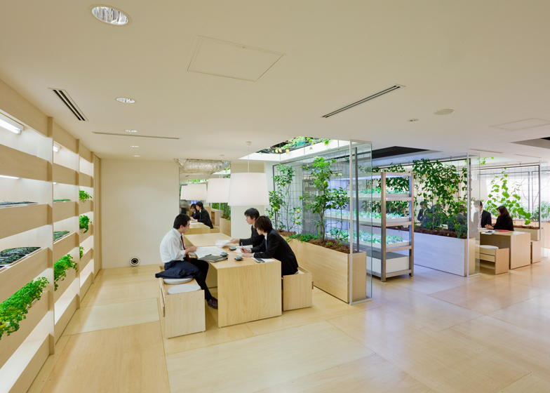 日本办公室HD高清实拍，职场日常，高效工作场景展示，真实记录
