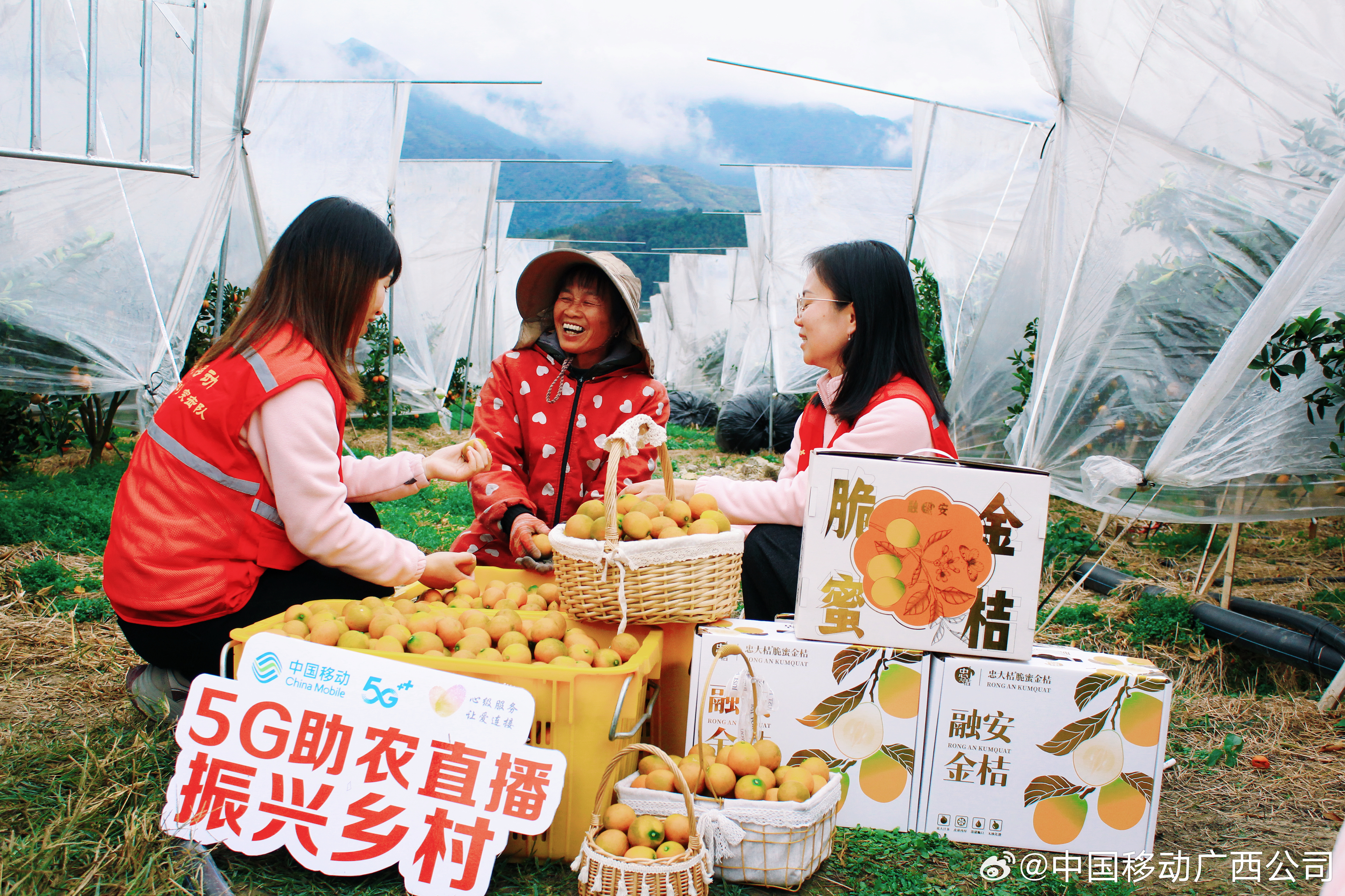 农村AV助力乡村振兴新路径，探索农业现代化，打造特色产业新模式
