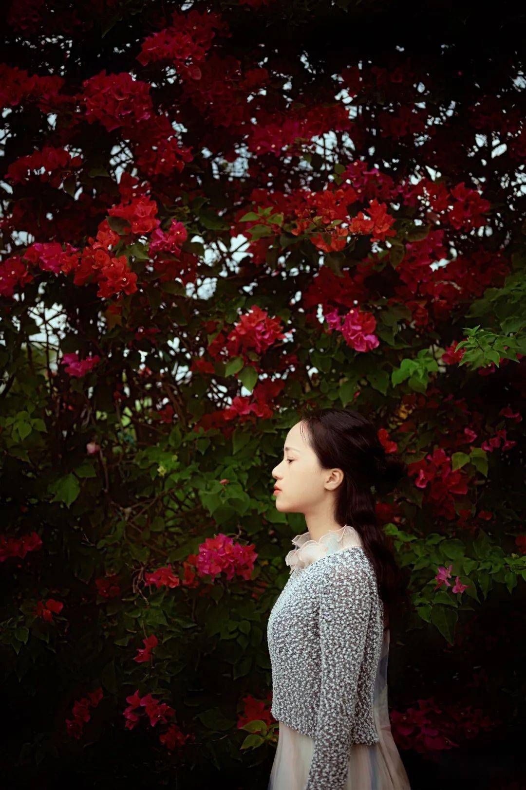 艳女传奇故事，惊艳时光，魅力永恒，谱写女性风华篇章