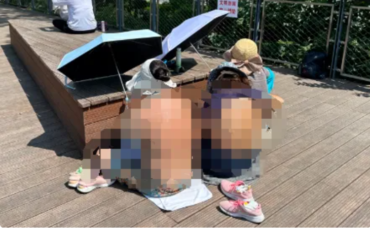 性一乱无码性一引发热议，探讨网络内容边界，如何平衡自由与监管