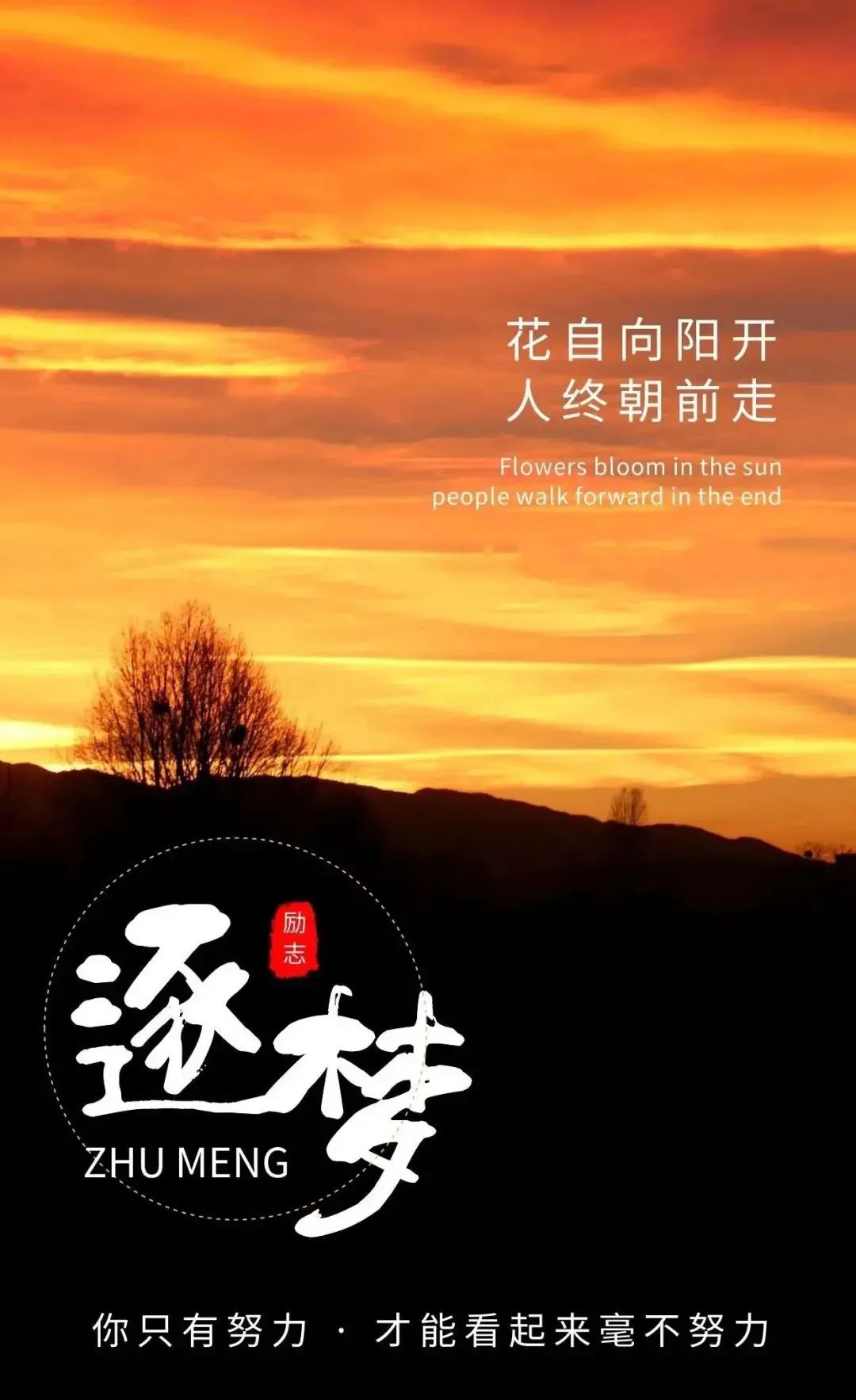 2.苍井空张腿实干18次，奋斗故事，励志人生，感动瞬间