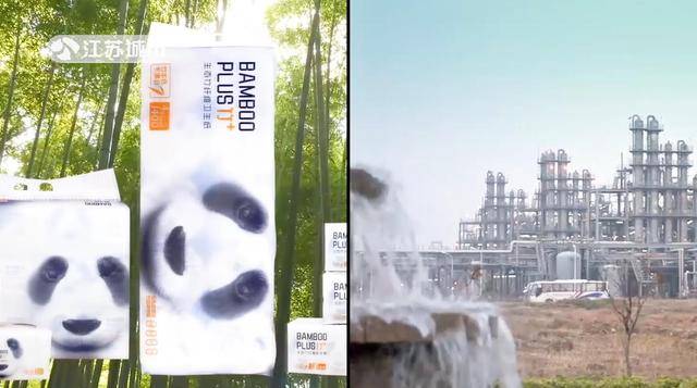 美国дetka浜探索其独特文化魅力与历史背景，揭秘隐藏故事，体验非凡之旅