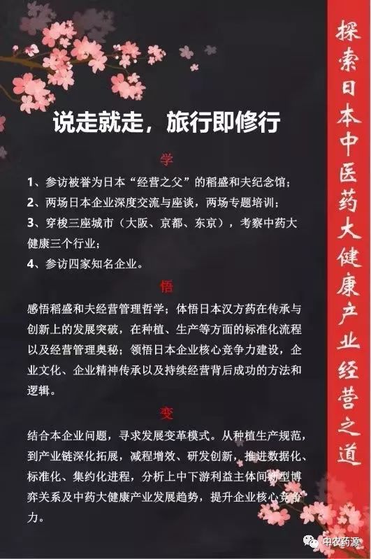 老太婆的屁股眼真舒服，揭秘独特养生秘诀，探索舒适背后的健康之道