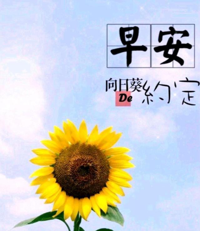 四川少妇搡BBBB搡BBBB的日常生活与情感故事，揭秘她的真实经历，分享独特人生感悟