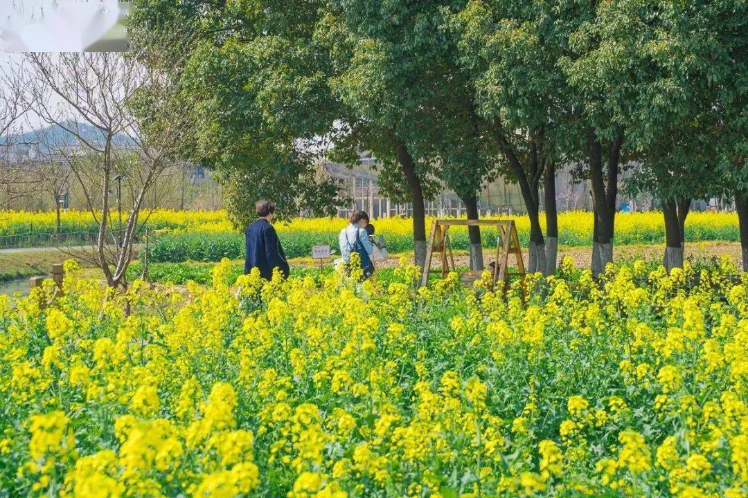 青草社区免费91蜜桃密臀打造温馨家园，共享甜蜜时光，畅享邻里欢乐