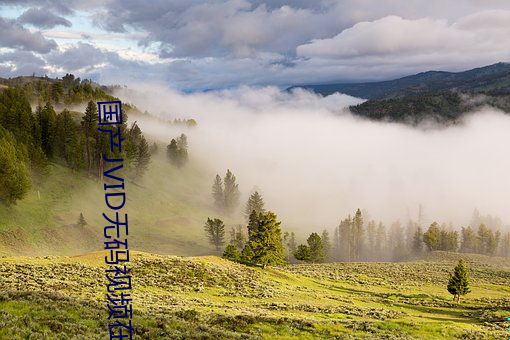 26uuu最新资源免费分享，高清无码在线观看，热门影视一网打尽