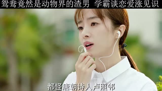 中国女性与黑人跨文化婚姻故事，探讨爱情与差异，展现多元家庭魅力