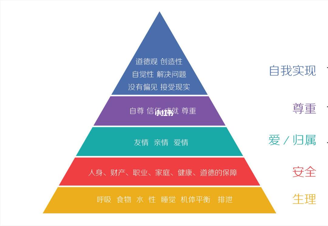 亚洲人体视频一区二区精彩合集，高清画质，多样内容，满足你的需求