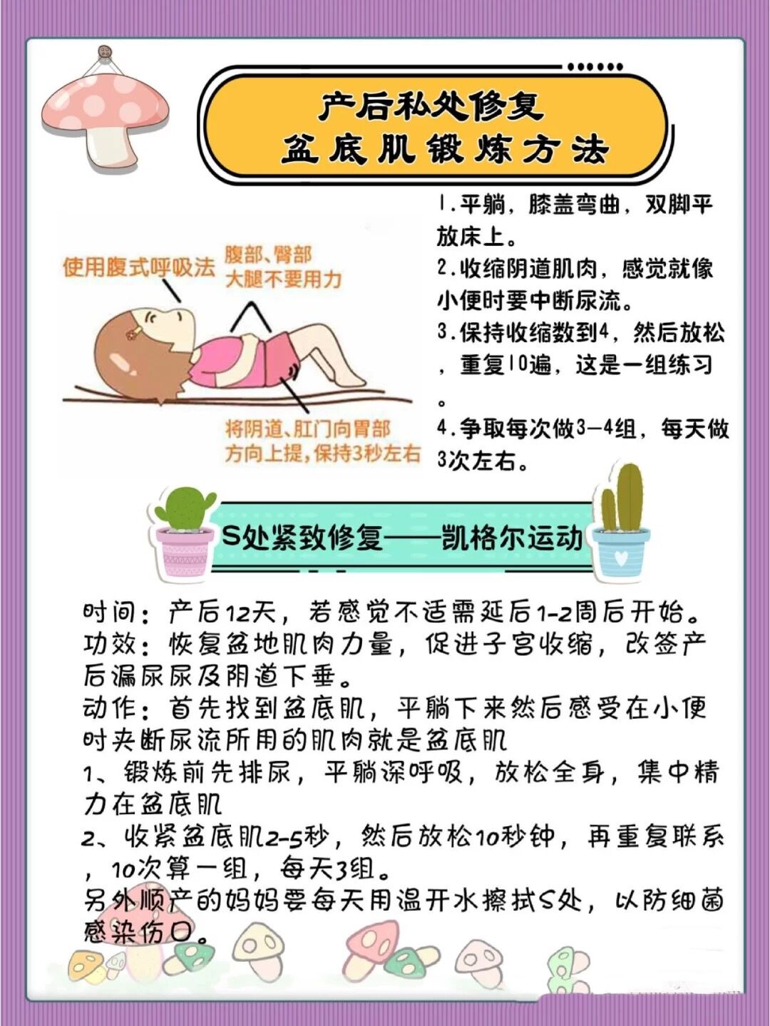 丰满孕妇PORN孕期护理指南，健康饮食建议，产后恢复技巧