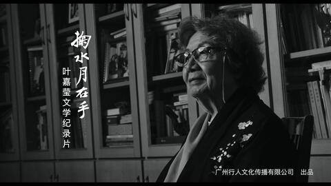 2.国外网站老太婆的传奇人生，温暖人心，激励无数网友