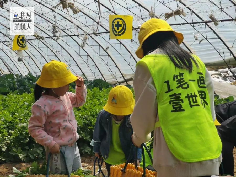 "人善交videos农场丰收季，田园风光美，快乐采摘乐，共享自然趣"