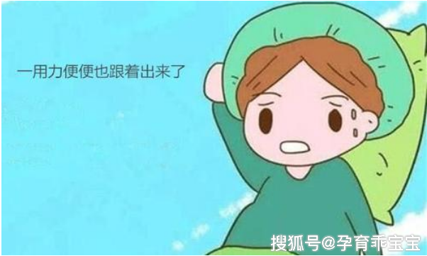 学姐拉粑粑的尴尬经历，校园趣事，真实故事，青春回忆