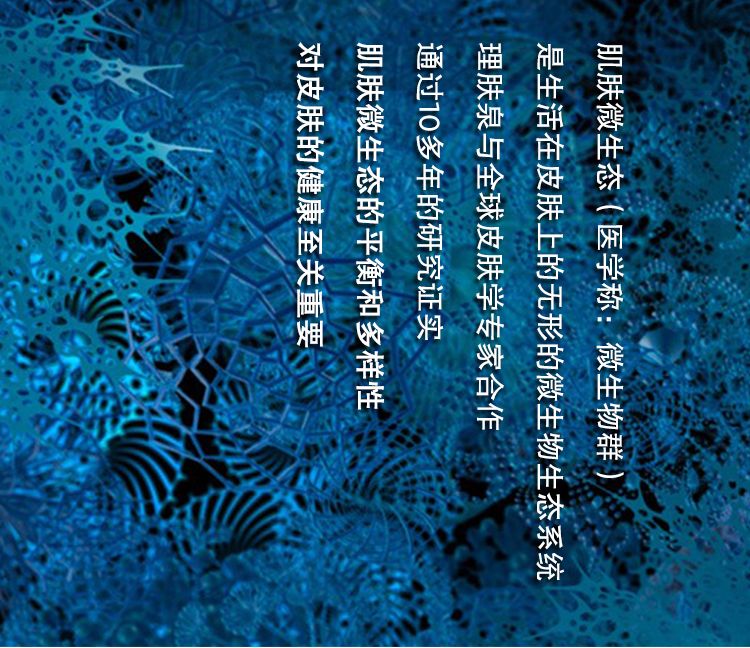 探索wwwwXxx的奥秘，解锁全新体验，发现隐藏功能，提升效率与乐趣