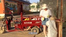 河南肥妇BBww浜的乡村生活趣事，田园风光与美食分享，真实记录日常点滴