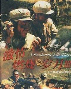 1.激情文学激情燃烧的岁月*