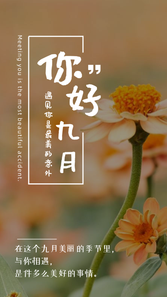 2.青青草人妻的温柔故事，坚韧人生，爱与希望同在