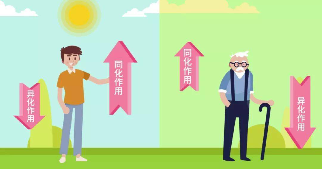 黑人又粗又大XXXXOO的魅力与争议，探讨其文化影响，社会认知与审美多样性