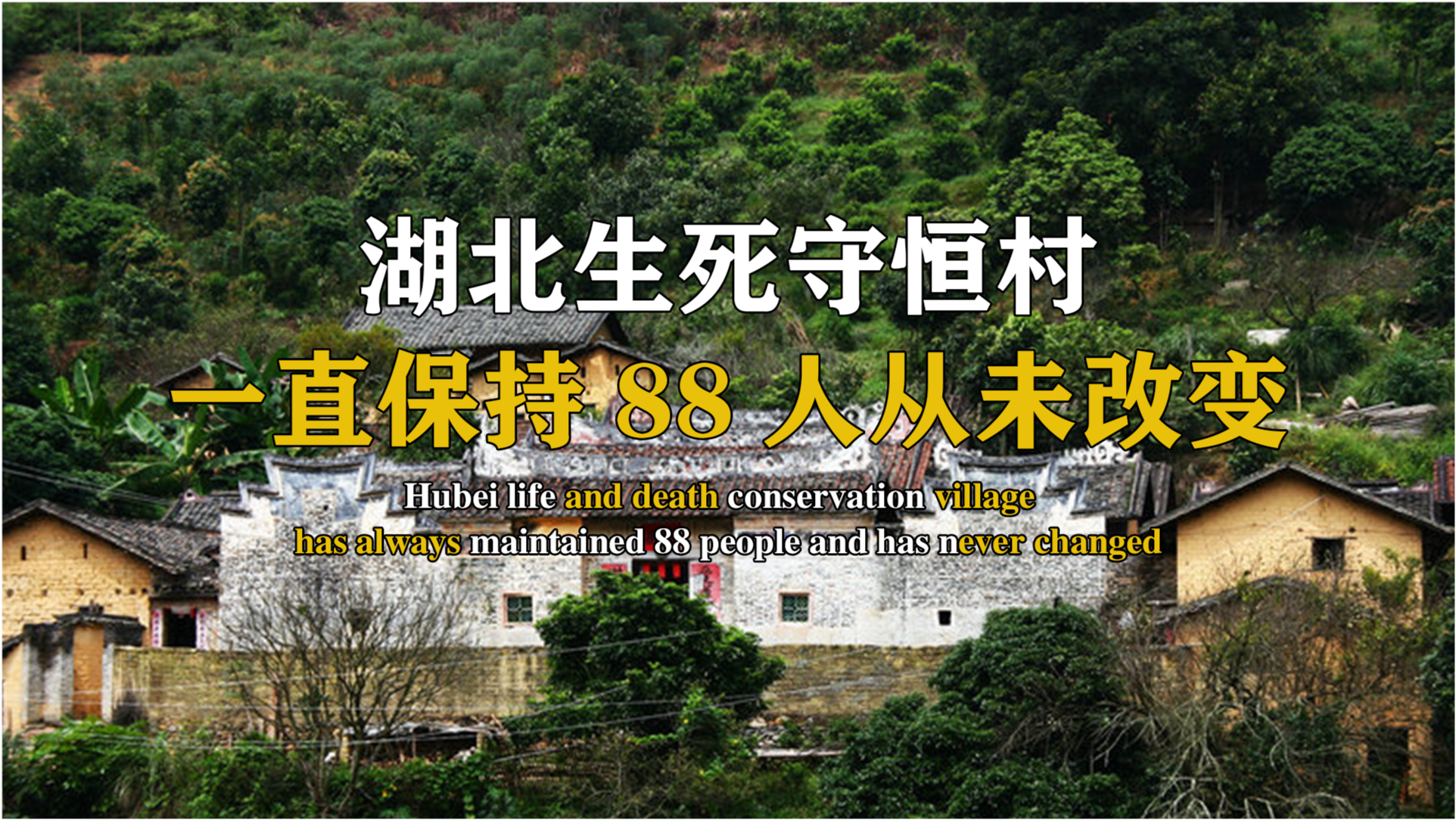 特黄老太婆AA毛毛片浜传奇故事，揭秘乡村秘闻，探寻背后隐藏的惊人真相