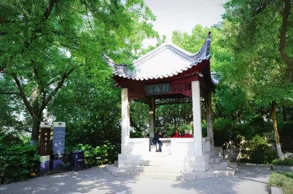 2.内谢老肥婆大BB浜，揭秘她的神秘生活，探索背后真相