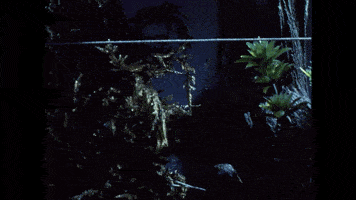 2.真人一级特黄毛大片，劲爆画面，极致视觉冲击，不容错过