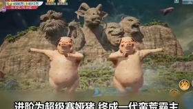 2.象人一紧缚VK视频浜全网首发，独家揭秘，幕后花絮曝光