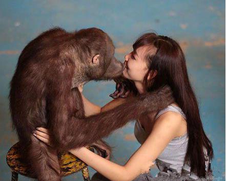 1.美女一级黄色片女人和动物交配