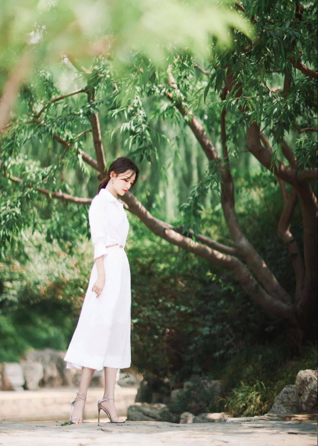 青青草AVV展现自然之美与活力，探索绿色世界，感受清新气息