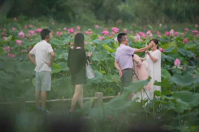 六月丁香婷婷伊人激情综合在线绽放，夏日浪漫邂逅，芬芳满溢尽享心动时刻