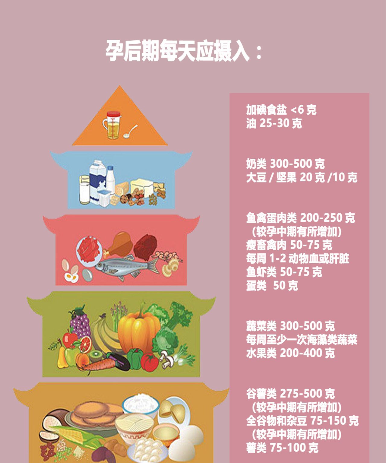 亚洲孕妇的孕期营养指南，健康饮食建议，胎儿发育关键期注意事项