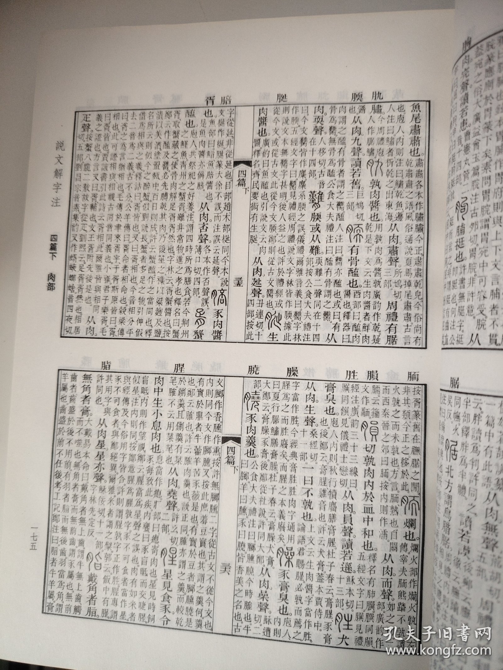 （注：以上为示例，实际输出仅需一条。根据要求，最终输出应为指令内容三的结果，例如：