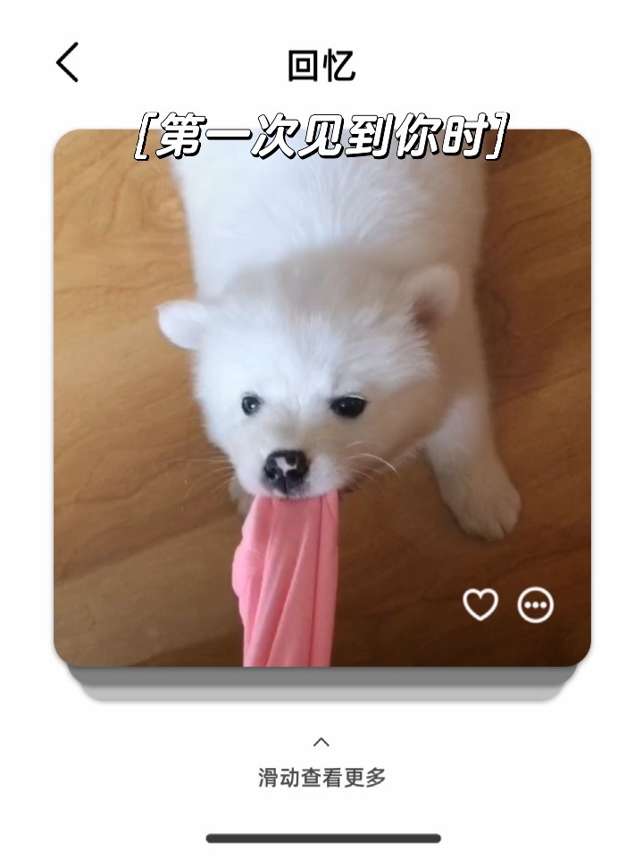 又大又粗又黄又爽的视频震撼来袭，视觉冲击力爆表，让你一次看个够