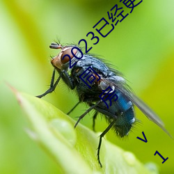 婷婷综合久久狠狠色精品资源一网打尽,高清无码在线观看,最新合集每日更新 婷婷综合久久狠狠色精品资源一网打尽,高清无码在线观看,最新合集每日更新