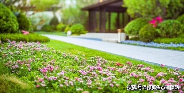 国产91精品青草社区，优质资源分享平台，最新热门内容推荐