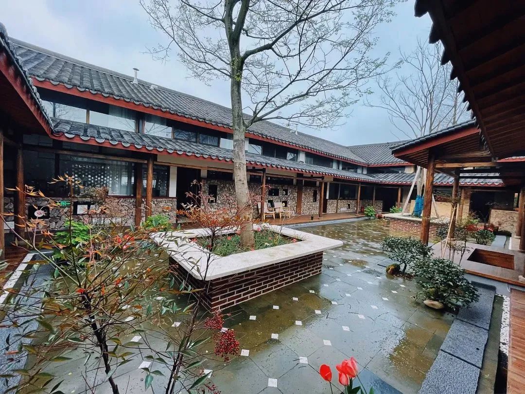 农村内谢免费视频浜乡村生活记录，田园风光分享，农家乐体验