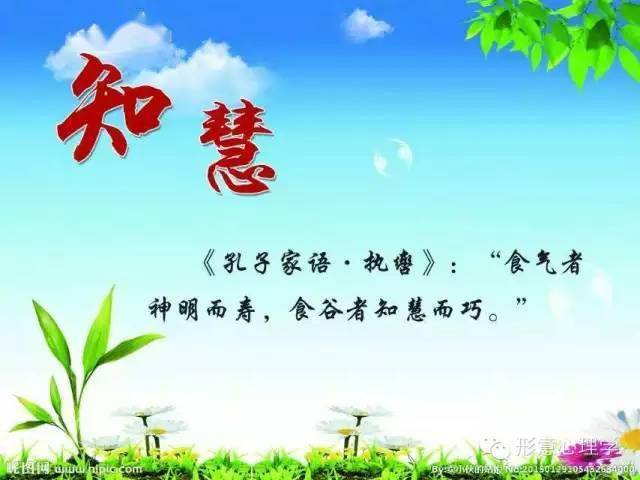 青青草见证人生成长历程，探索自然与生命的奥秘，感悟青春与希望的力量