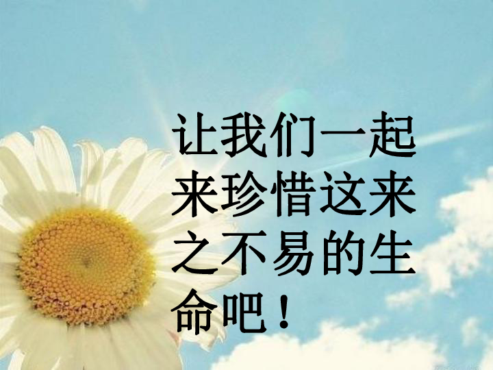 护士一级特黄浜守护健康天使传递温暖与希望，专业护理，用心服务，关爱生命每一天