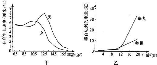 七十岁路人祖母和六十岁路人祖母的区别，看看年龄差异带来的变化，生活态度与习惯对比