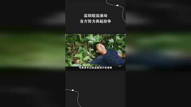 2.成人网战硝烟四起，各方势力暗流涌动，谁能笑到最后