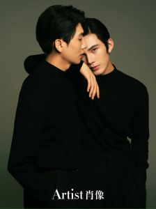 2.双男主真人素材视频免费下载高清资源