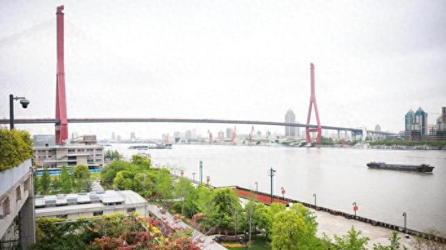 JMSP01CC登录入口浜滨江新区智慧服务平台快速通道 JMSP01CC登录入口浜滨江新区智慧服务平台快速通道
