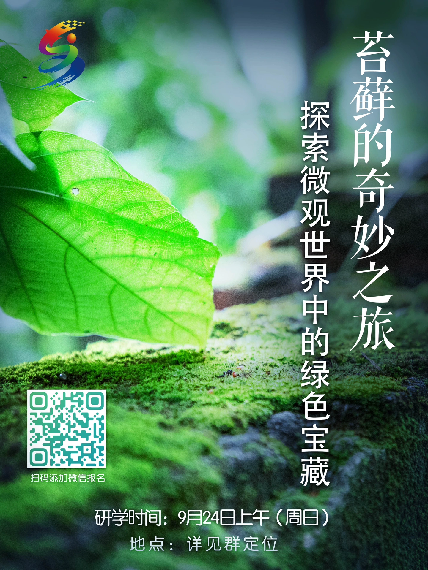 青青草在线色展现自然之美，探索绿色世界，享受清新视觉盛宴