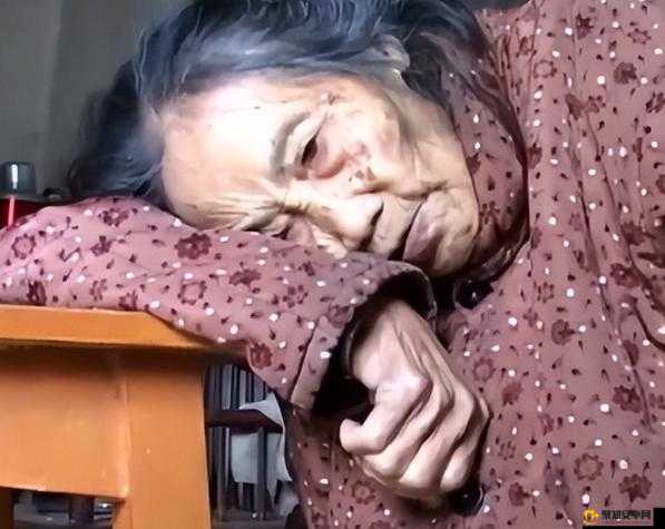 老太黄色片引发热议，探讨老年人情感需求，社会应给予更多关注与理解