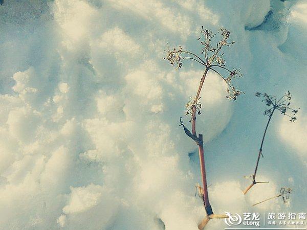 老妇vid老太与小伙的奇妙邂逅，跨越年龄的友情故事，温暖人心的人生相遇