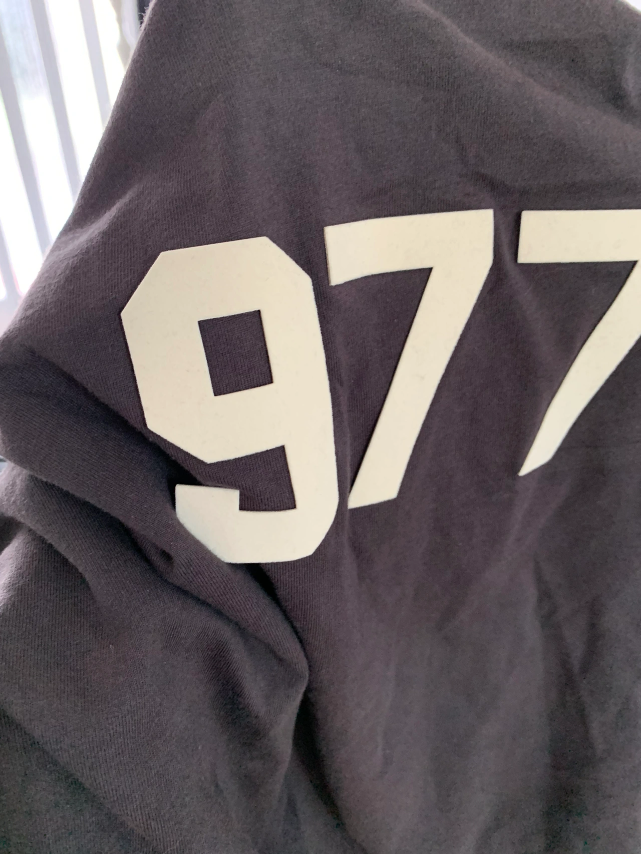 87.怕宠物老头与动物大爷的生命伙伴