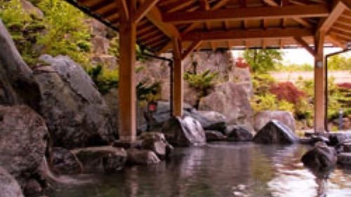 日本高潮樱花季绝美绽放，富士山脚下温泉体验，东京夜景浪漫巡礼