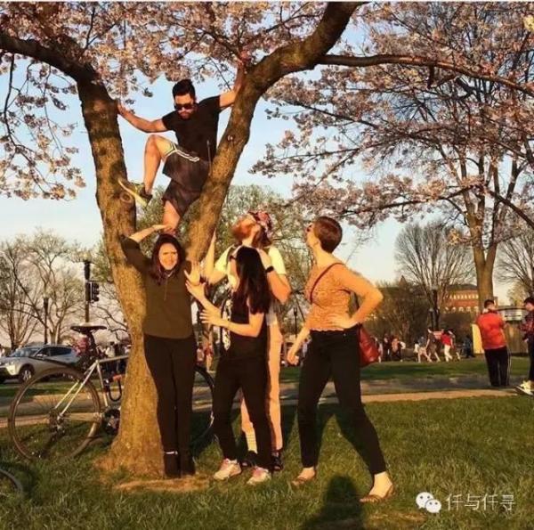 美国人摘花引发争议，环保组织呼吁保护自然，专家建议替代方案